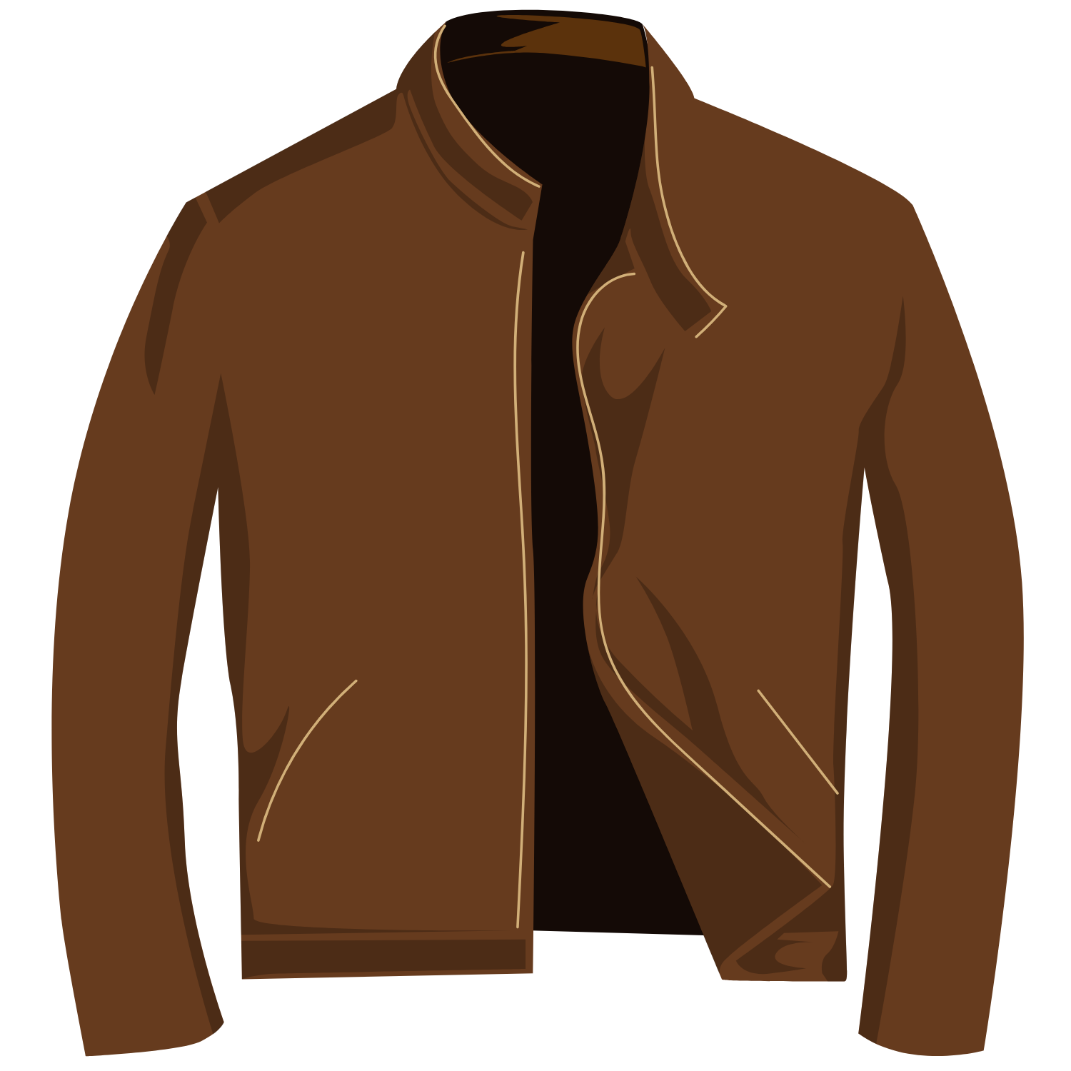 Professional leather jacket and garment cleaning service