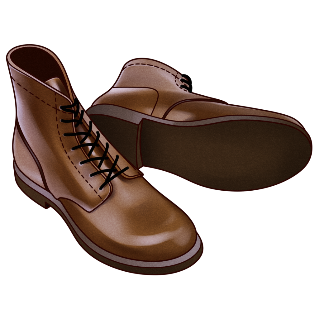 Leather shoe cleaning and care service in Lucknow